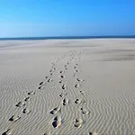 In By Sandy Beaches Apartamento Nieuwpoort