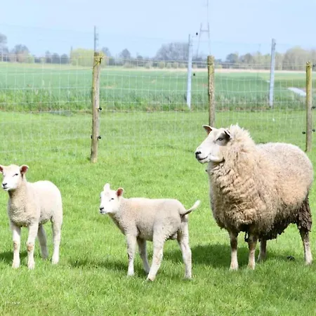 아파트 In By Sandy Beaches 니우포르트