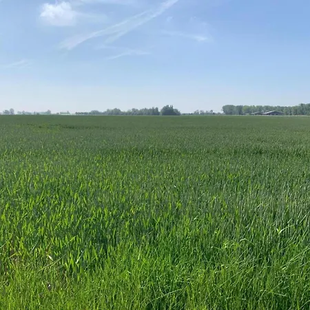 아파트 In By Sandy Beaches *