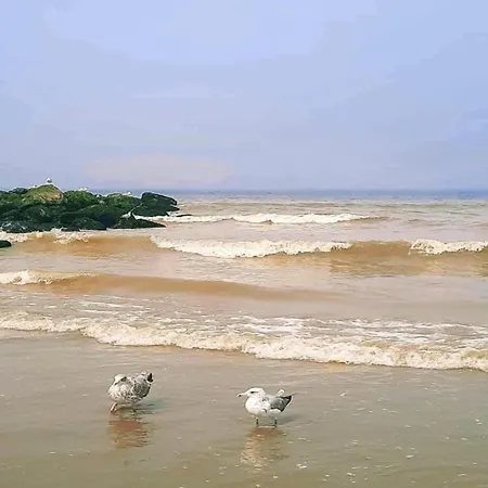 아파트 In By Sandy Beaches 니우포르트