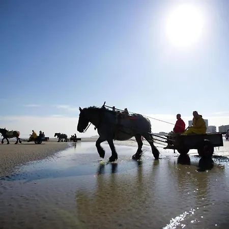 아파트 In By Sandy Beaches