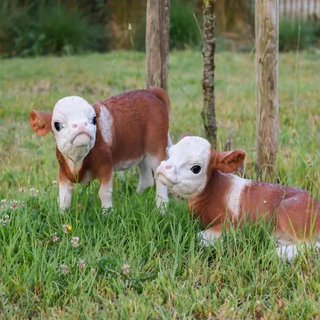 아파트 In By Sandy Beaches