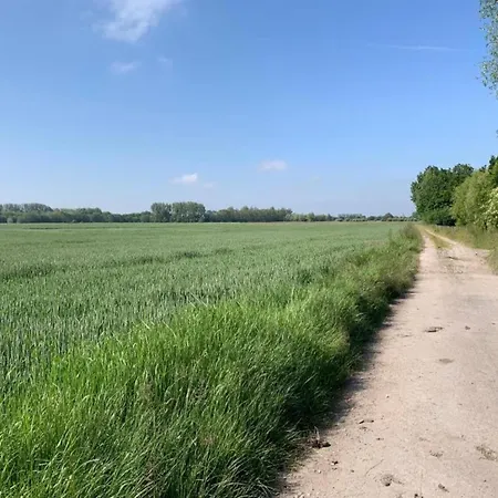 In By Sandy Beaches 니우포르트