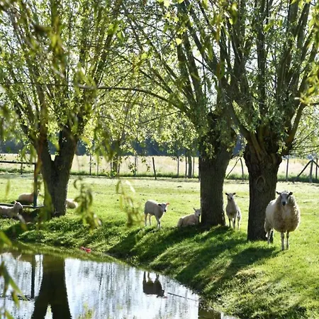 In By Sandy Beaches * 니우포르트