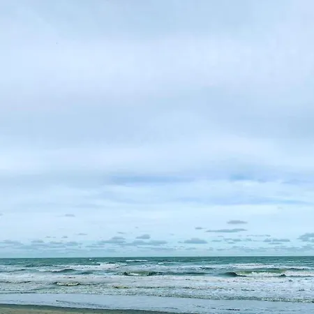 In By Sandy Beaches * 니우포르트